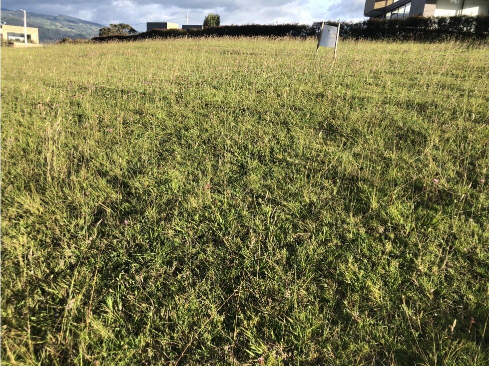 Se vende espectacular lote en Yerbabuena, Sopo. — foto 4