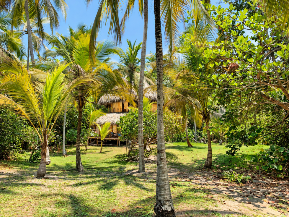 Hotel ecológico frente al Mar Caribe, Parque Tayrona - 3
