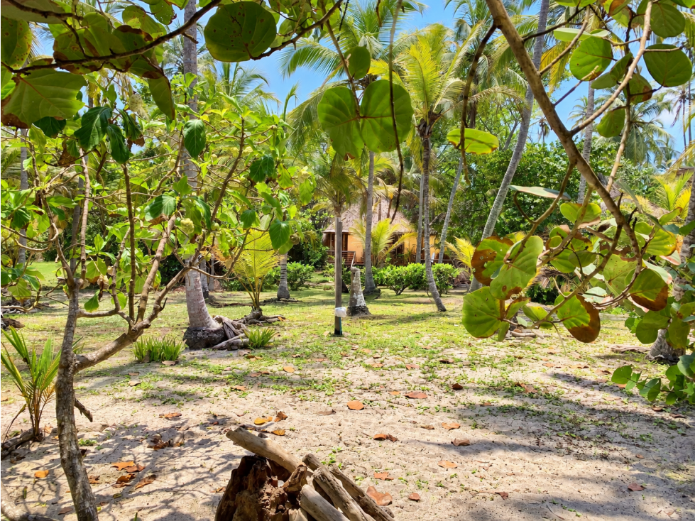 Hotel ecológico frente al Mar Caribe, Parque Tayrona - 5