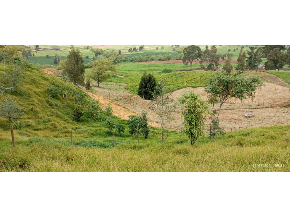 Lote en Venta San Pedro de los Milagros, Antioquia. — foto 6