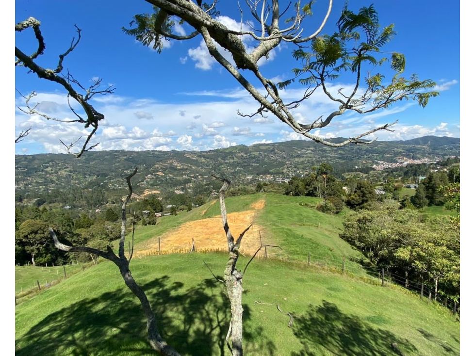 Lote en Venta en Guarne Vereda San Isidro, Antioquia — foto 3