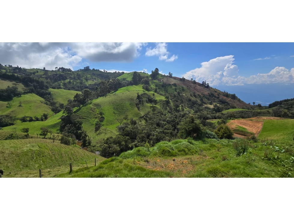 Lotes en Venta San Pedro de los Milagros, Antioquia. — foto 2