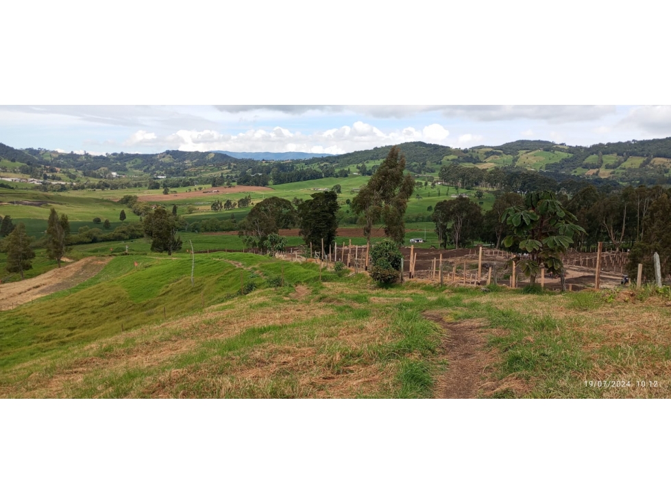Lote en Venta San Pedro de los Milagros, Antioquia. — foto 5