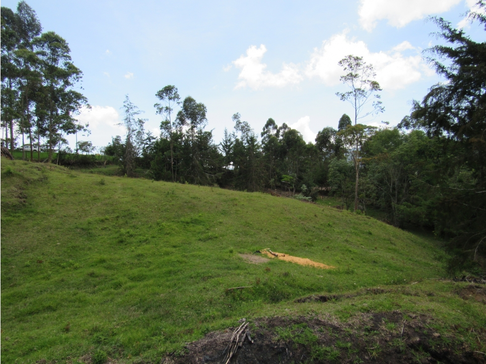 Lote en Venta en La ceja, Antioquia.