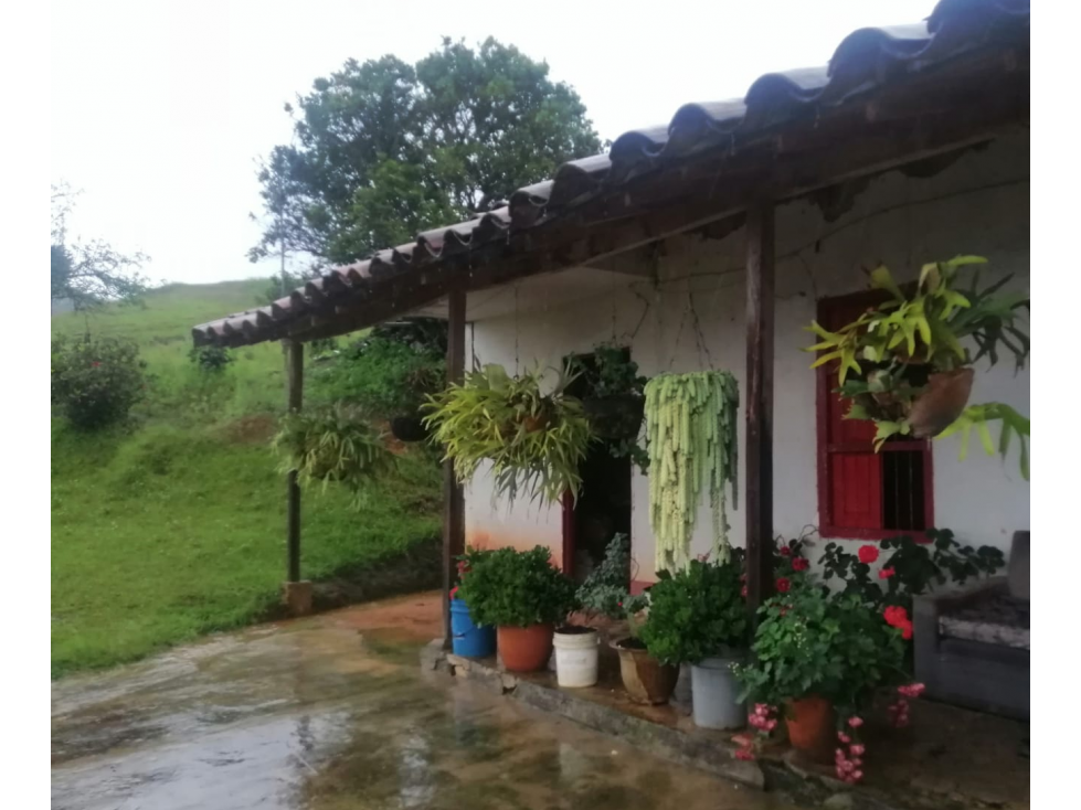 Finca en Venta en vereda Jardín, Antioquia — foto 2