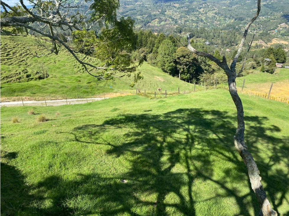 Lote en Venta en Guarne Vereda San Isidro, Antioquia — foto 5