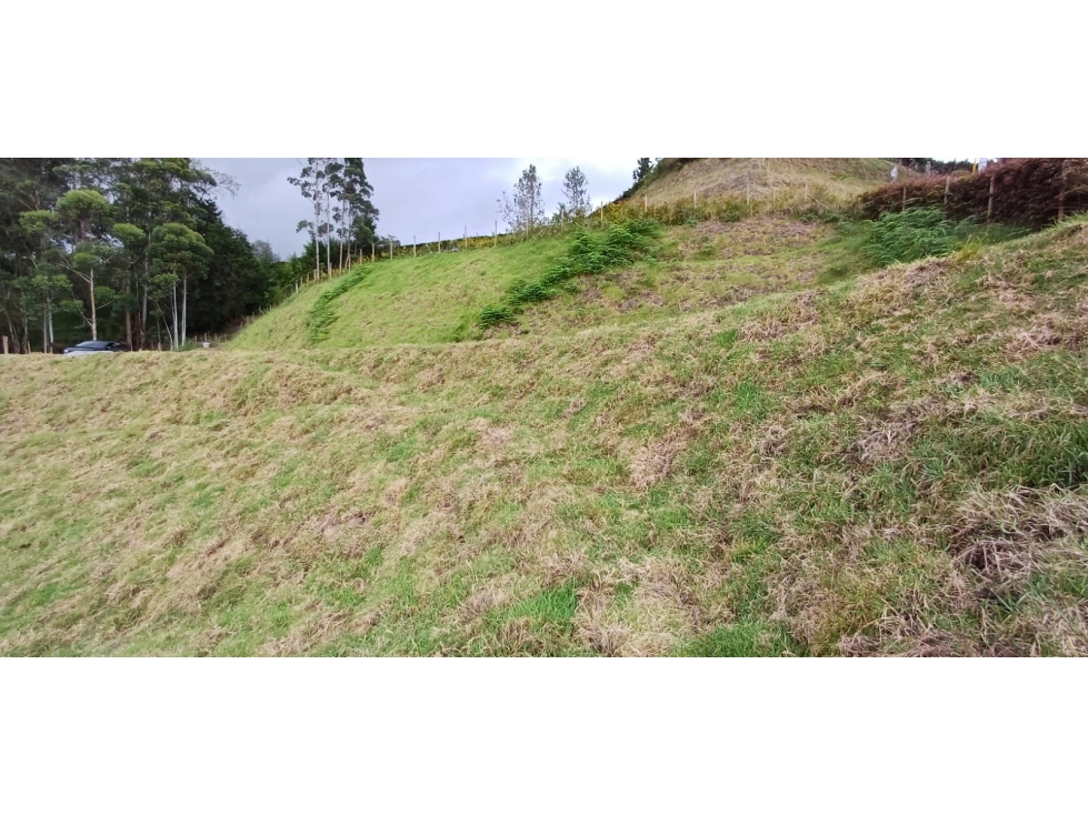 Lote en venta Vereda la clarita Guarne, Antioquia. — foto 5