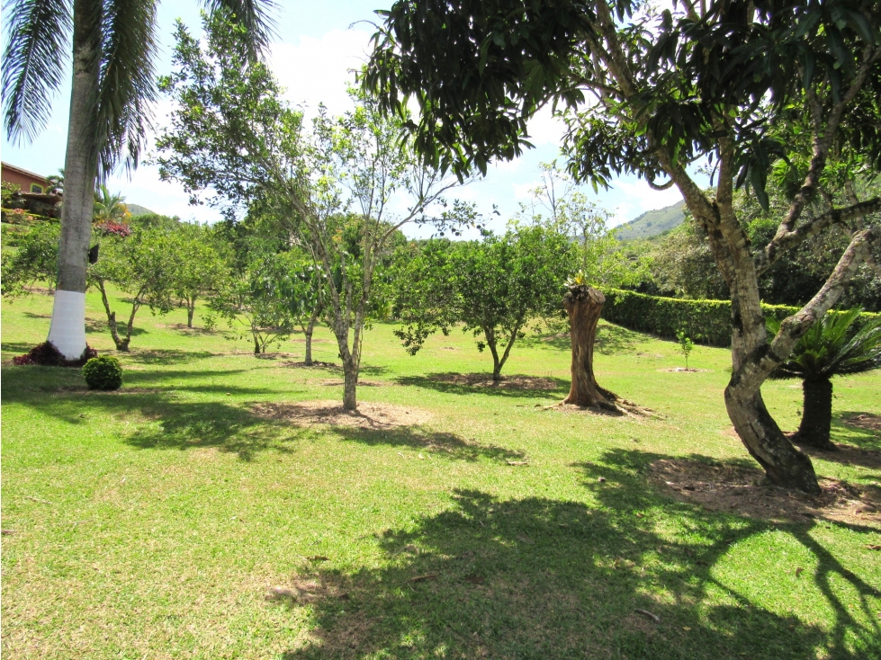 Finca en Venta San Jerónimo. Antioquia — foto 4