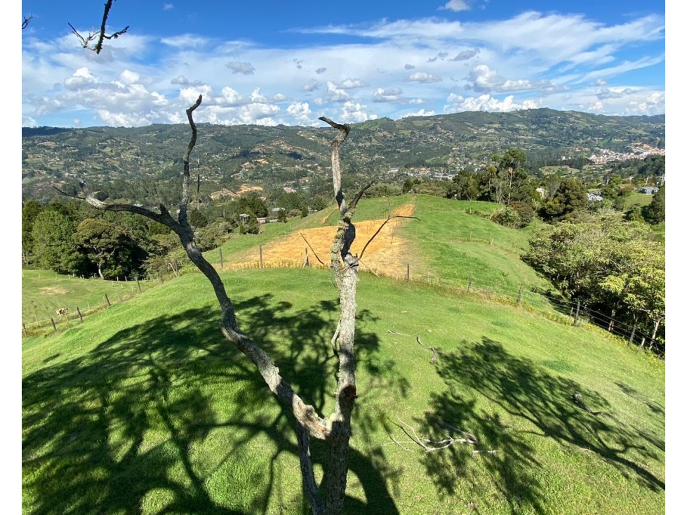 Lote en Venta en Guarne Vereda San Isidro, Antioquia — foto 6