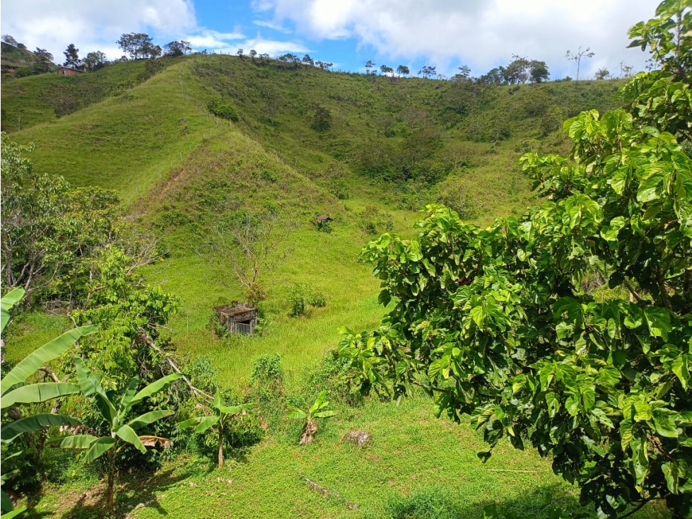 Finca en Venta San Roque, Antioquia - 2