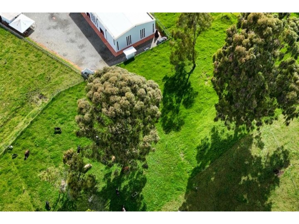 Lotes en Venta San Pedro de los Milagros, Antioquia. — foto 5