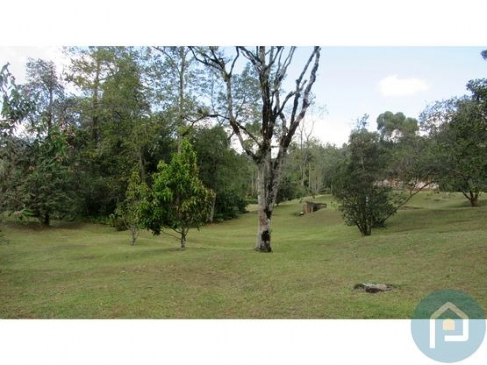 Venta Lote con Kiosko en Guarne Vereda el Molino, Antioquia. — foto 6