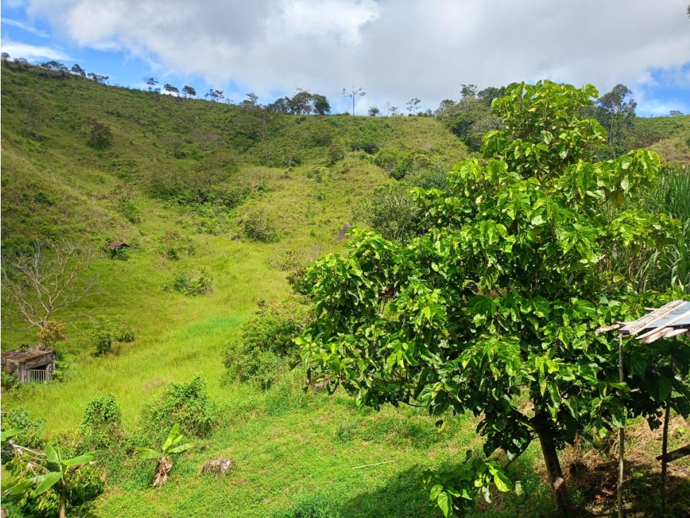 Finca en Venta San Roque, Antioquia - 3