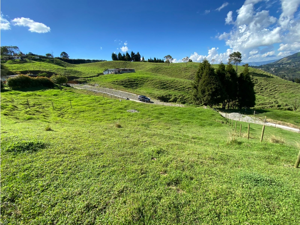Lote en Venta en Guarne Vereda San Isidro, Antioquia — foto 2