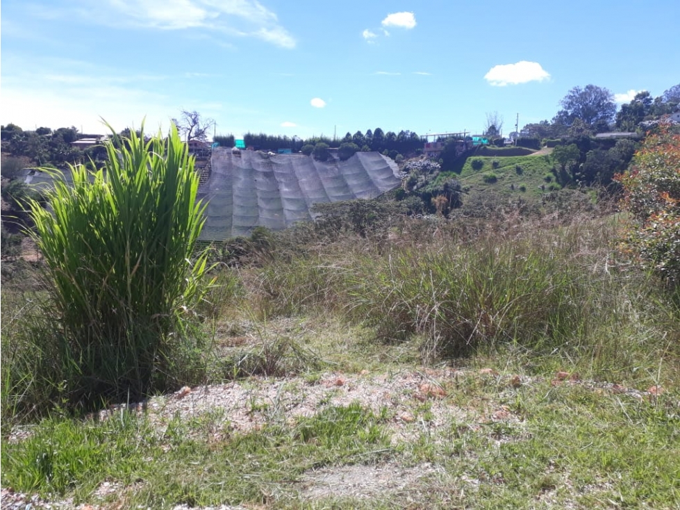 Lote en Venta Marinilla Vereda Cimarronas, Antioquia - 3