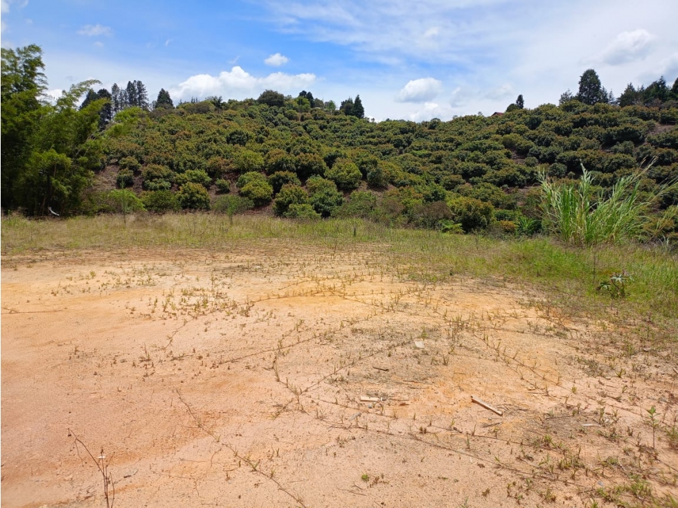 Lote en Venta Guarne, Antioquia.