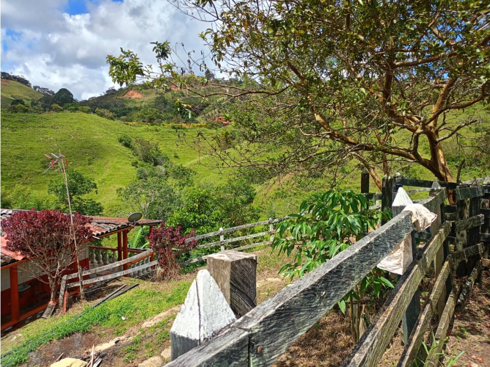 Finca en Venta San Roque, Antioquia - 5