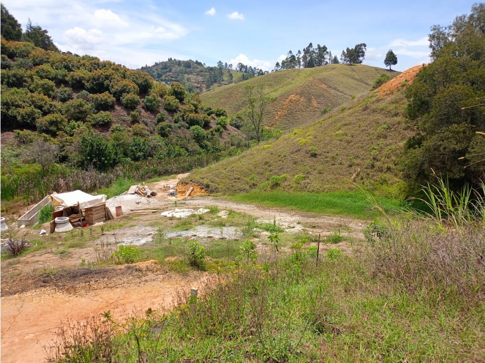 Lote en Venta Guarne, Antioquia. — foto 4