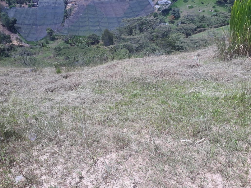 Lote en Venta Marinilla Vereda Cimarronas, Antioquia - 5