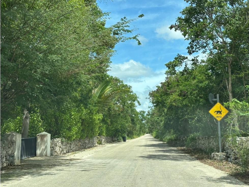 Terreno en venta en la Ceiba II, Dzibichaltún, Yucatán - 3