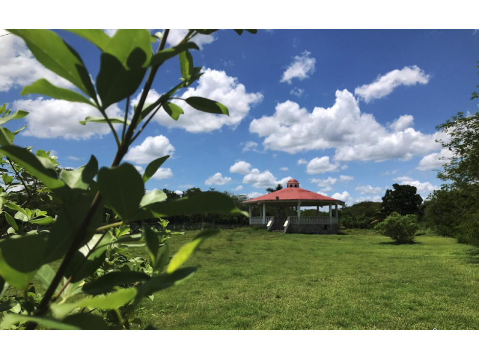 MACROLOTE EN VENTA AL NORTE DE MÉRIDA - 1