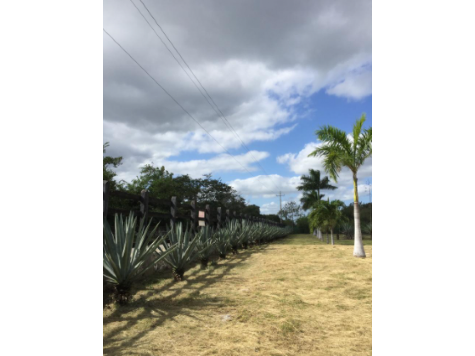 MACROLOTE EN VENTA AL NORTE DE MÉRIDA - 5