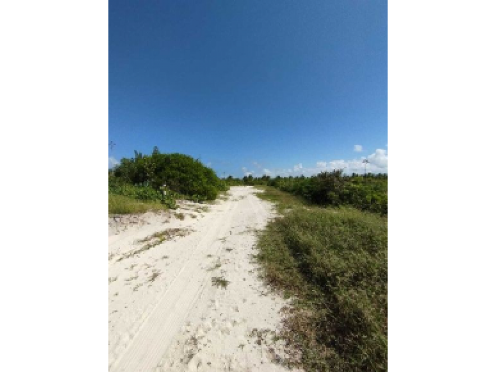 Terreno en venta en San Benito Yucatán (segunda fila en playa) - 1