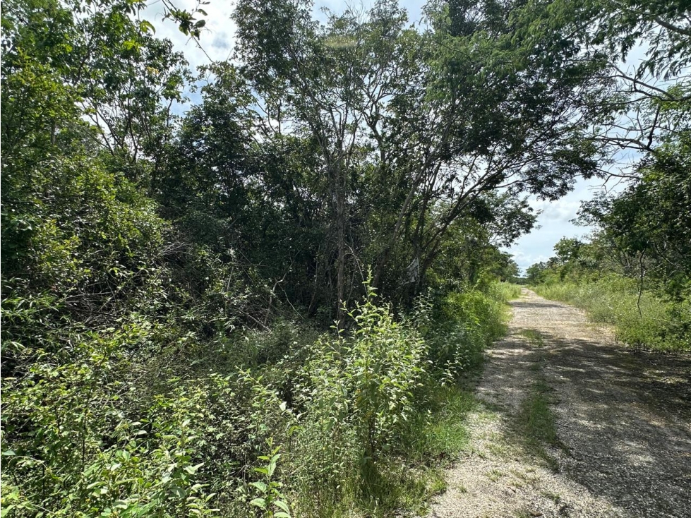 Terreno en venta en la Ceiba II, Dzibichaltún, Yucatán - 1