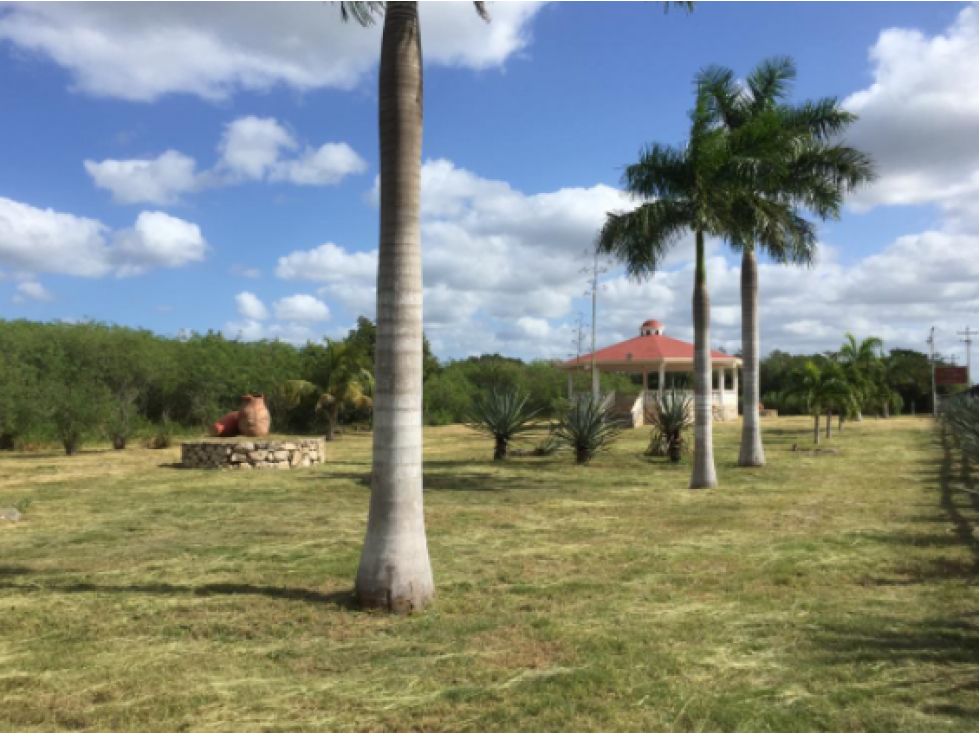 MACROLOTE EN VENTA AL NORTE DE MÉRIDA - 2