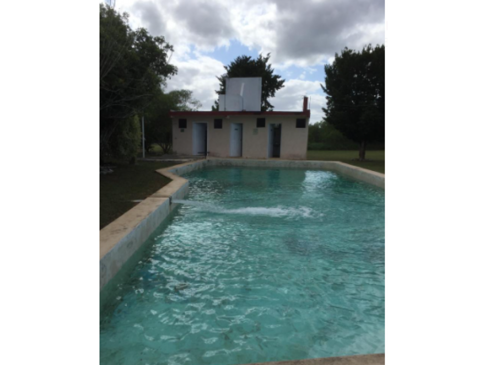 MACROLOTE EN VENTA AL NORTE DE MÉRIDA - 6