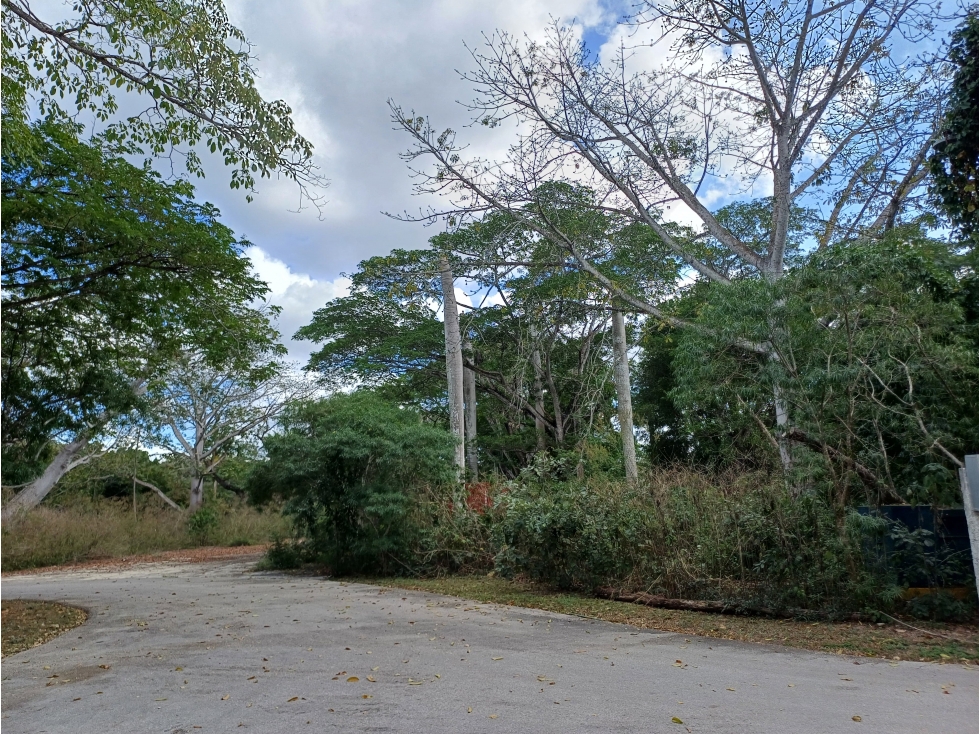 VENTA TERRENO MERIDA CLUB DE GOLF LA CEIBA VISTA AL CAMPO — foto 6