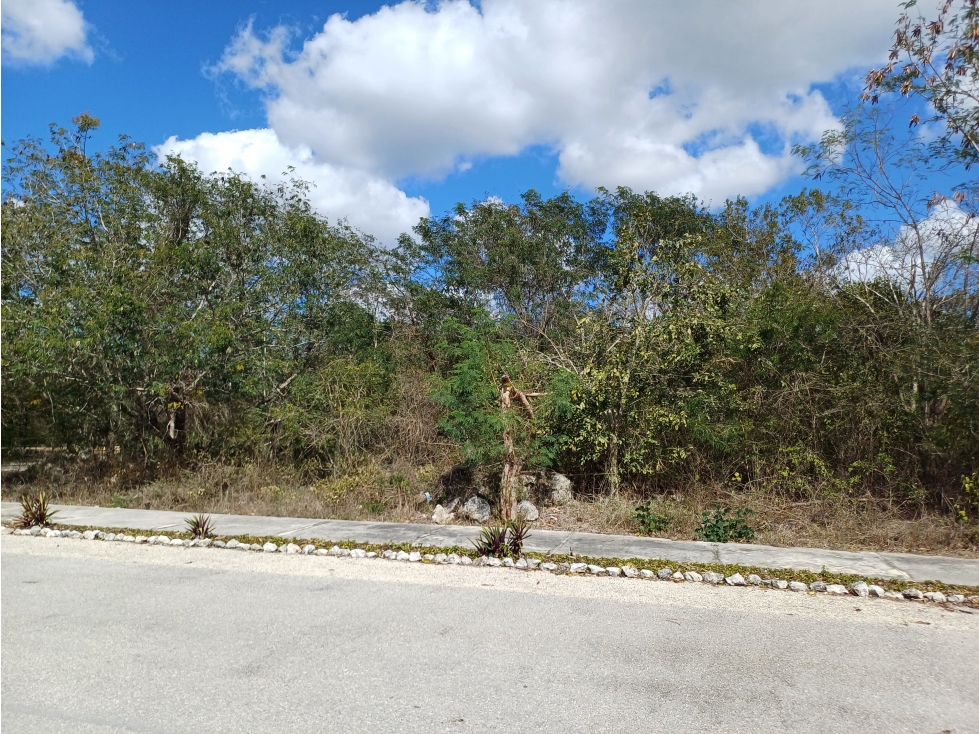 VENTA MÉRIDA TERRENO DZIDZIL-HÁ