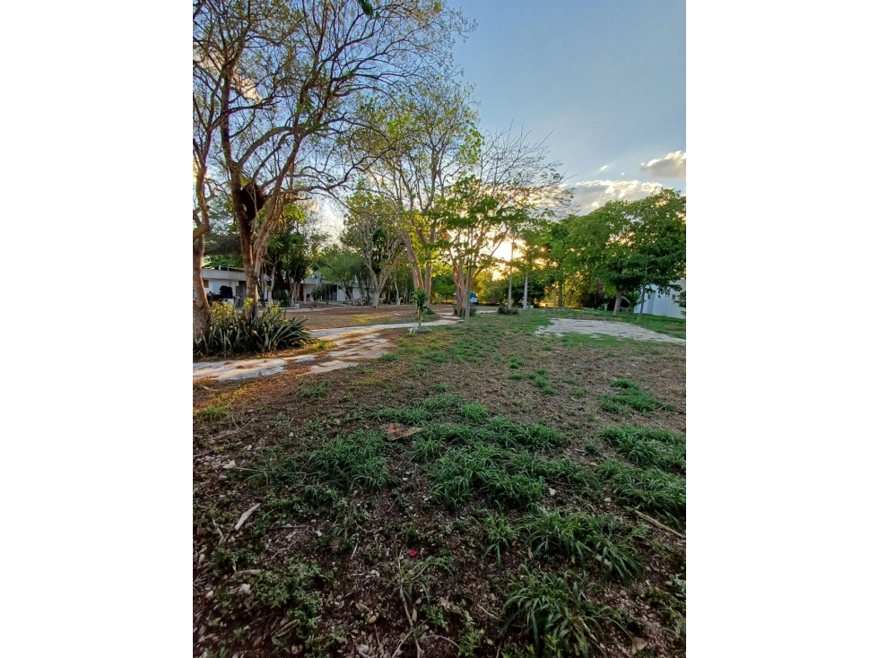 VENTA CASA MÉRIDA CLUB DE GOLF LA CEIBA UNA PLANTA VISTA AL CAMPO — foto 6