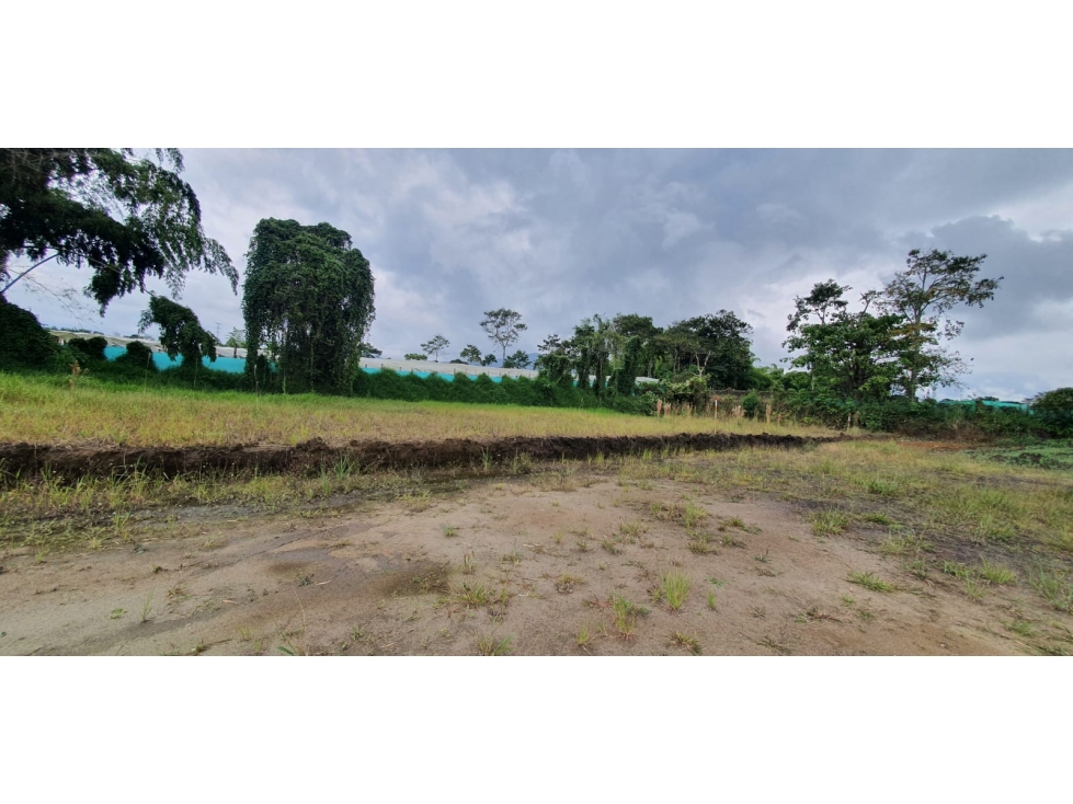 VENTA LOTE PROYECTO DE PARCELACION SECTOR HOJAS ANCHAS — foto 2
