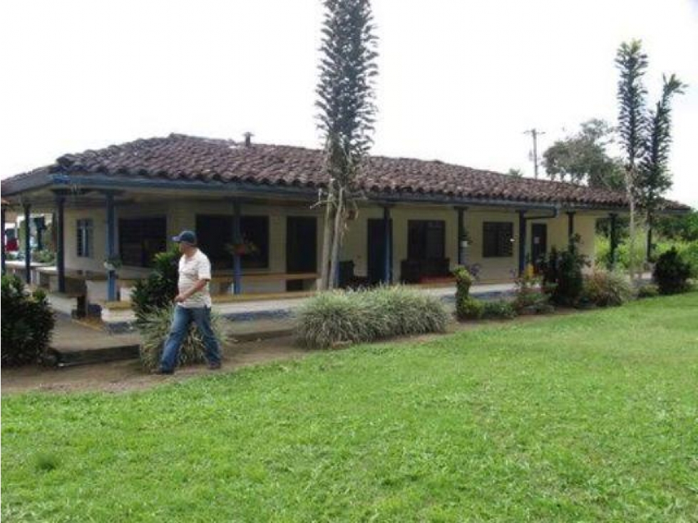 VENTA FINCA PRODUCTIVA CITRICOS 300 CUADRAS VIA CAICEDONIA - SEVILLA - 2