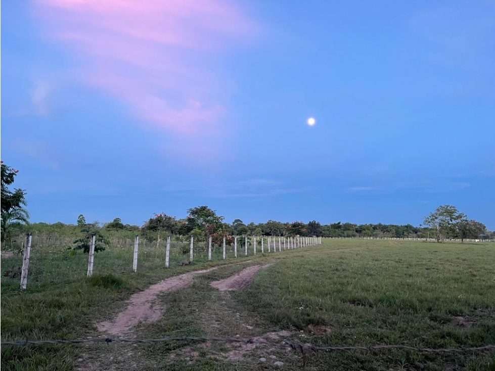VENTA FINCA ACACIAS VEREDA PATIO BONITO - 200 HECTAREAS - 5