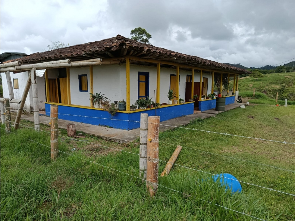 VENTA FINCA FILANDIA A BORDE DE CARRETERA - 20 CUADRAS - 2