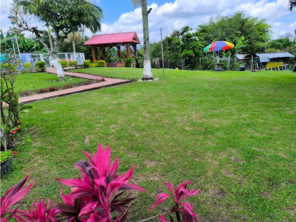 VENTA CASA CAMPESTRE VIA CIRCASIA - MONTENEGRO — foto 4