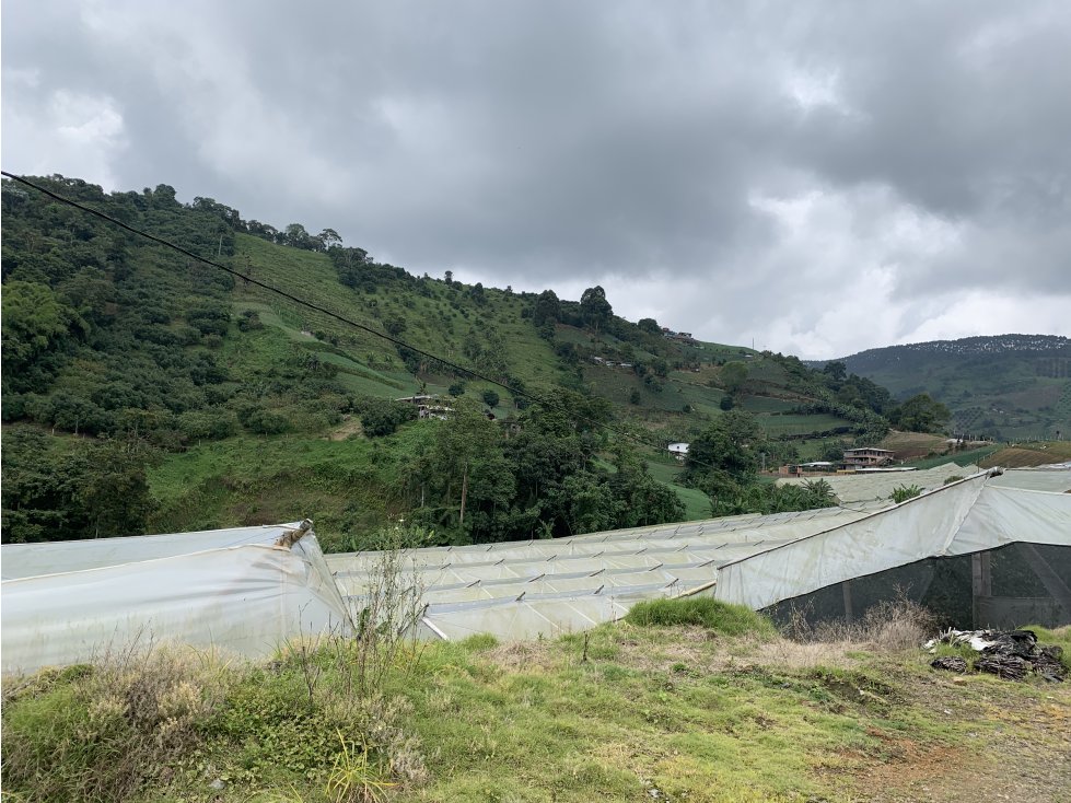 VENTA FINCA PRODUCTORA SECTOR LA FLORIDA - 5 CUADRAS - 1