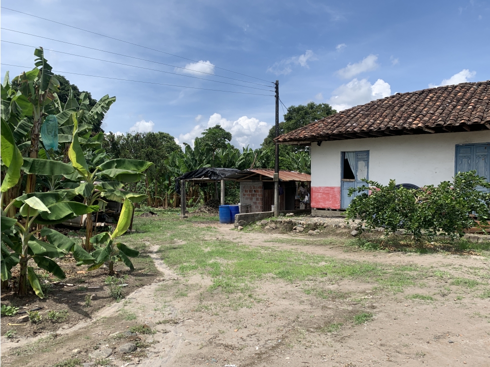 VENTA FINCA VIA RIO VERDE - 16.8 CUADRAS - 2