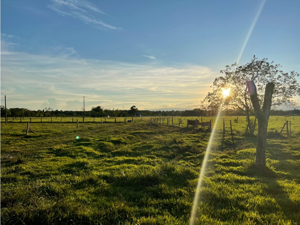 VENTA FINCA ACACIAS VEREDA PATIO BONITO - 200 HECTAREAS - 3