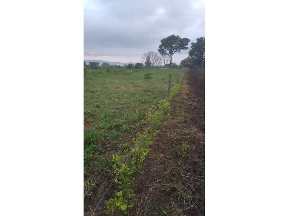 VENTA LOTE SECTOR VEREDA CANTORES — foto 2