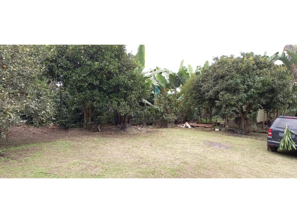 VENTA FINCA SECTOR MIRADOR FILANDIA VIA ULLOA - 2