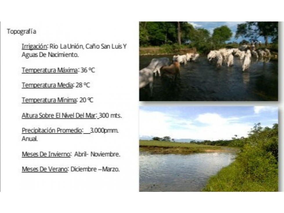 VENTA FINCA PUERTO LOPEZ - 296 HECTAREAS - 4