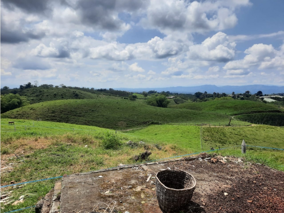 VENTA FINCA GANADERA FILANDIA VIA QUIMBAYA - 41 CUADRAS - 1