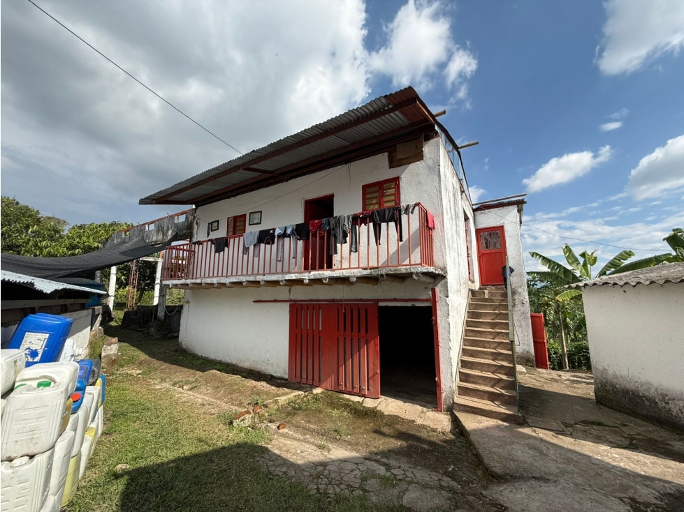 VENTA FINCA CIRCASIA CULTIVOS EN CAFÉ, PLATANO Y BANANO - 12.5 CUADRAS — foto 5