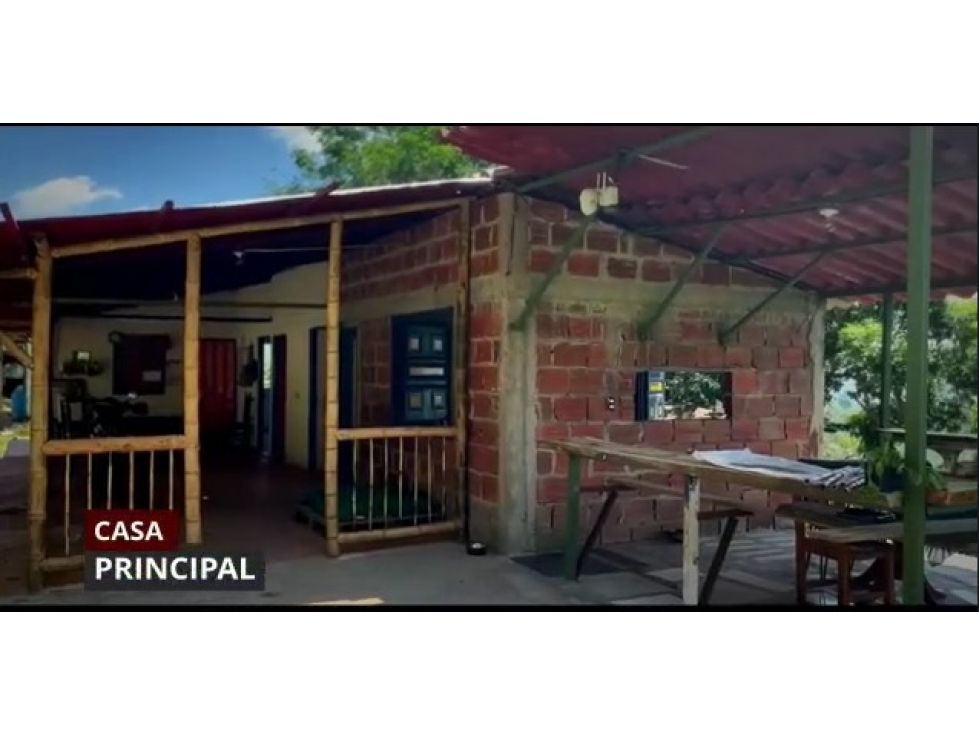 VENTA FINCA CORDOBA VEREDA LA CONCHA - 16 HECTAREAS — foto 4