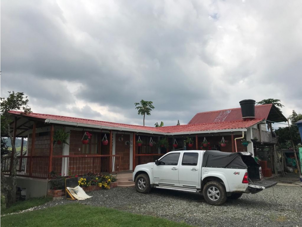 VENTA FINCA PRODUCTIVA CAFE PLATANO PASTO CIRCASIA - 23 CUADRAS