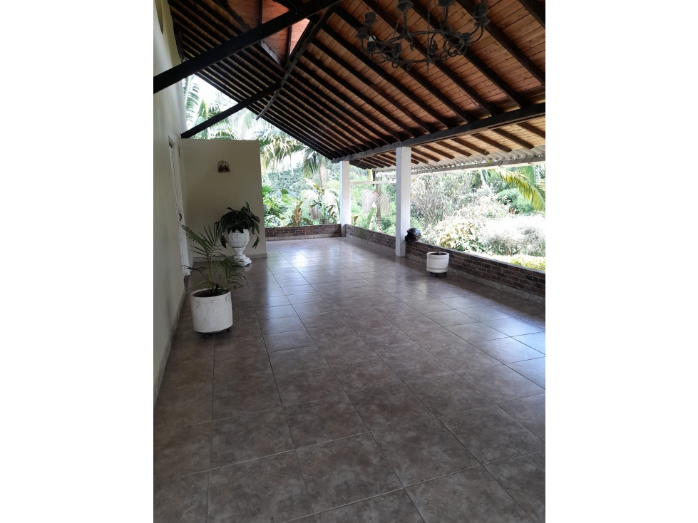 VENTA FINCA CIRCASIA SECTOR LA POLA - 7 CUADRAS — foto 5