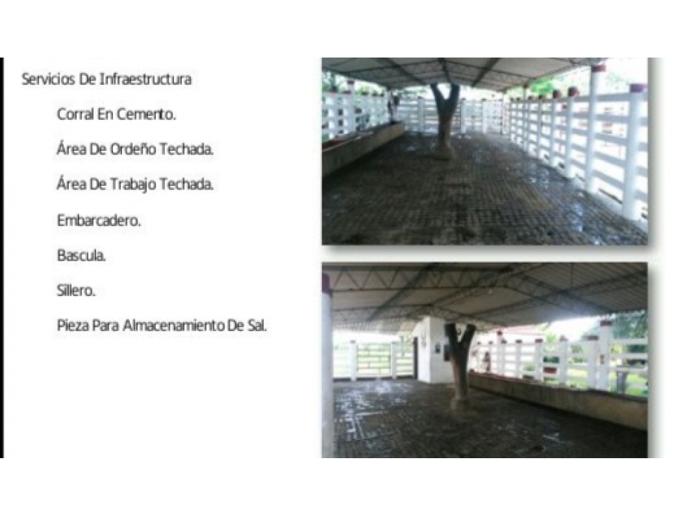 VENTA FINCA PUERTO LOPEZ - 296 HECTAREAS - 6